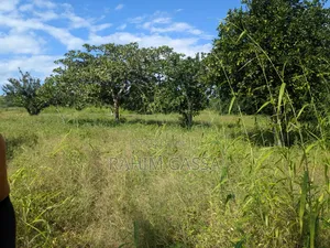 Shamba Bagamoyo Pwani