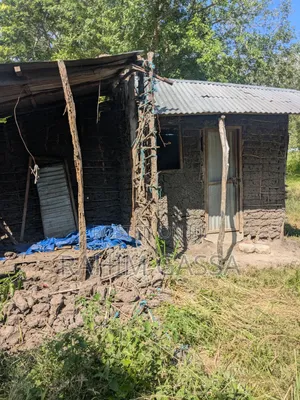 Shamba Bagamoyo Pwani