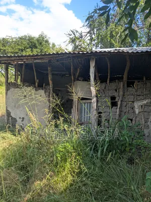Shamba Bagamoyo Pwani