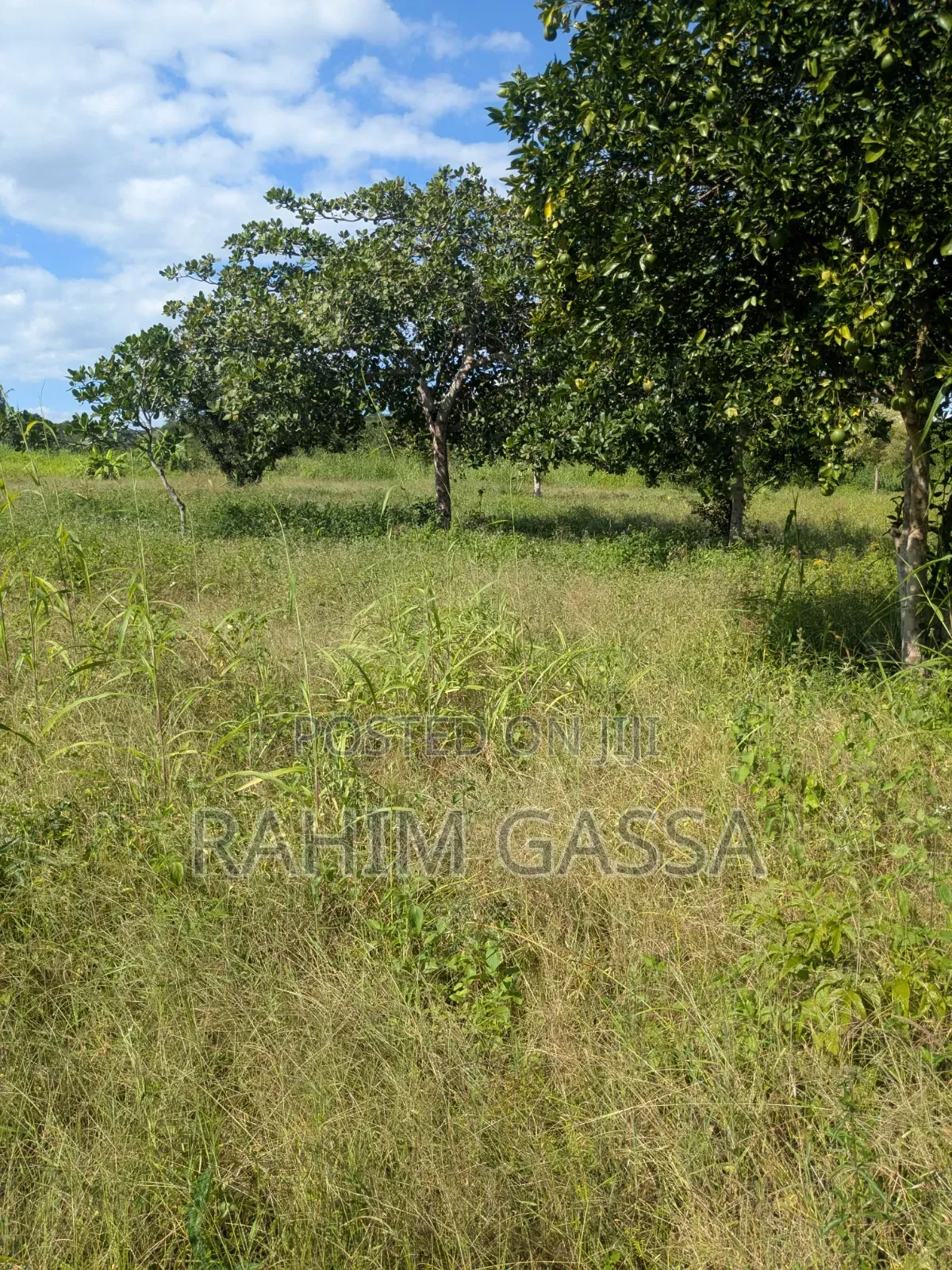 Shamba Bagamoyo Pwani