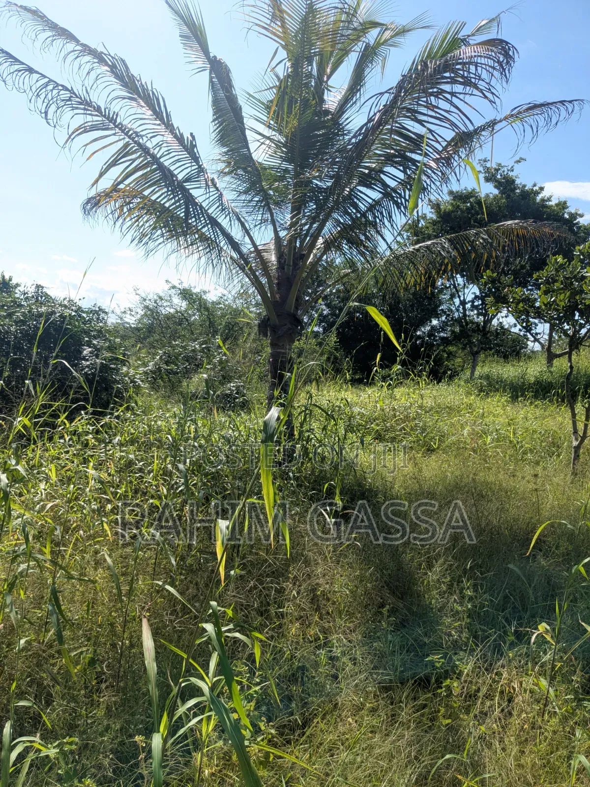 Shamba Bagamoyo Pwani