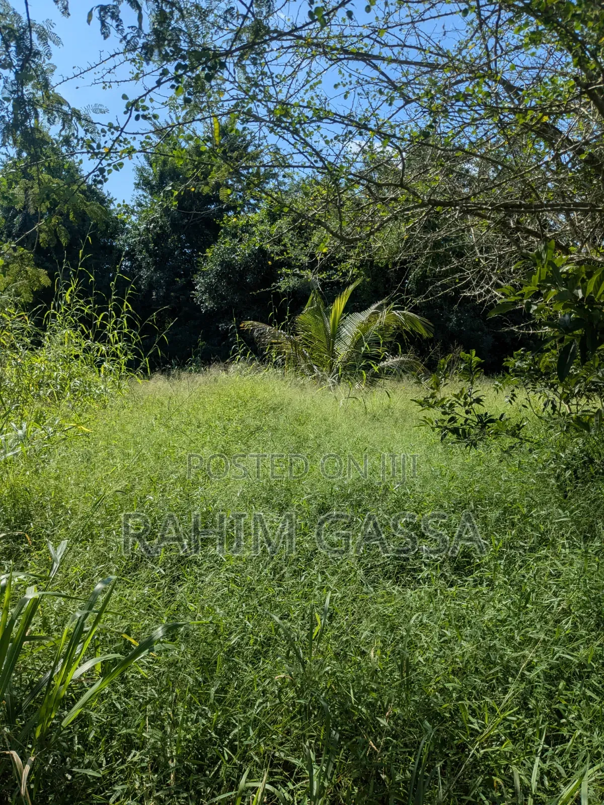 Shamba Bagamoyo Pwani