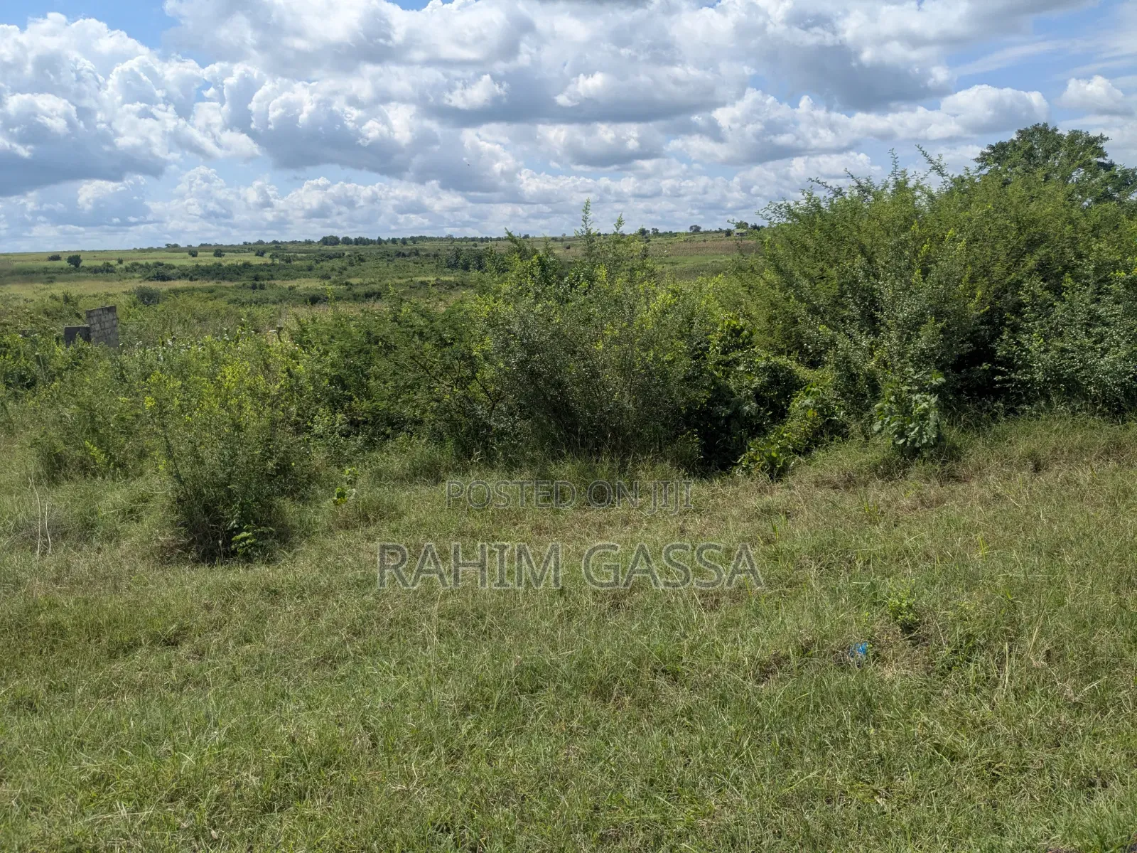 Shamba Linauzwa