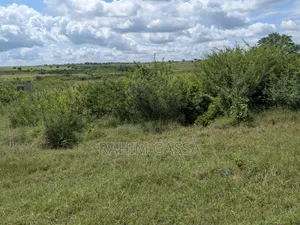 Shamba Linauzwa