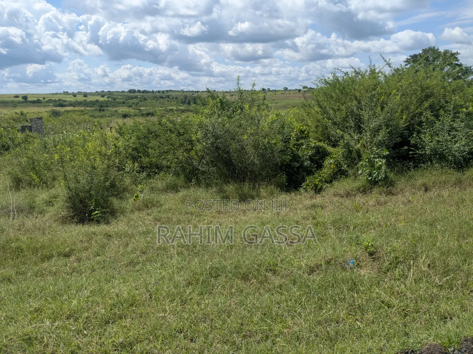 Shamba Linauzwa