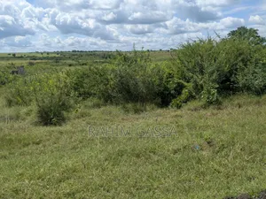 Shamba Linauzwa