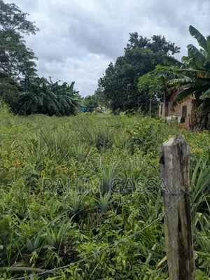 Kiwanja Kinauzwa Kiwangwa Bagamoyo