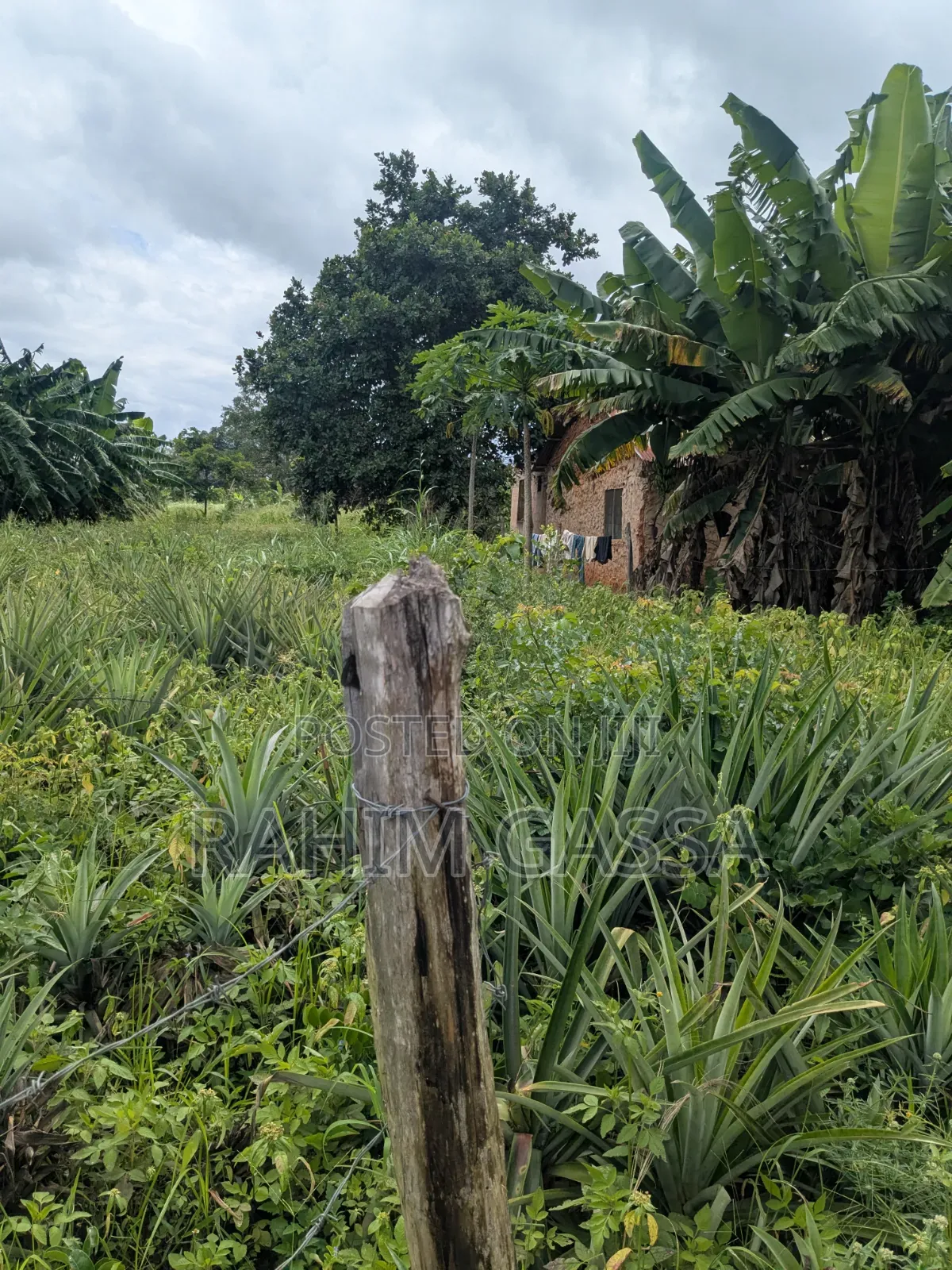 Kiwanja Kinauzwa Kiwangwa Bagamoyo
