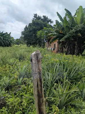 Kiwanja Kinauzwa Kiwangwa Bagamoyo