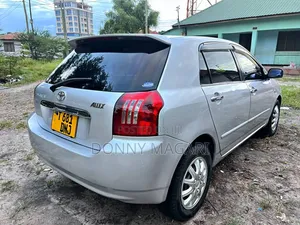 Toyota Allex 2004 Silver