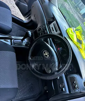 Toyota Allex 2004 Silver