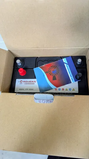 Ns60 Battery Highest Quality
