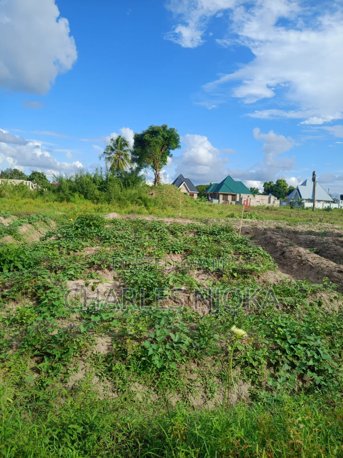 Plots for Sale