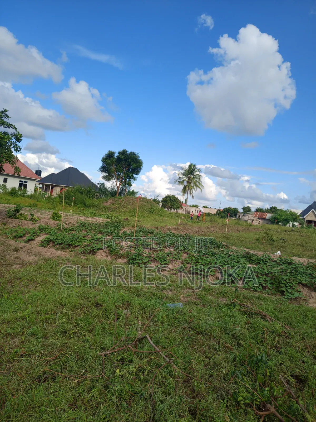 Plots for Sale