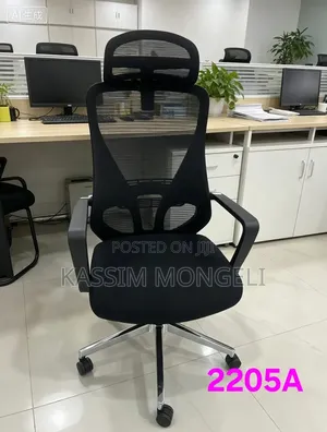 Ergonomic Chairs