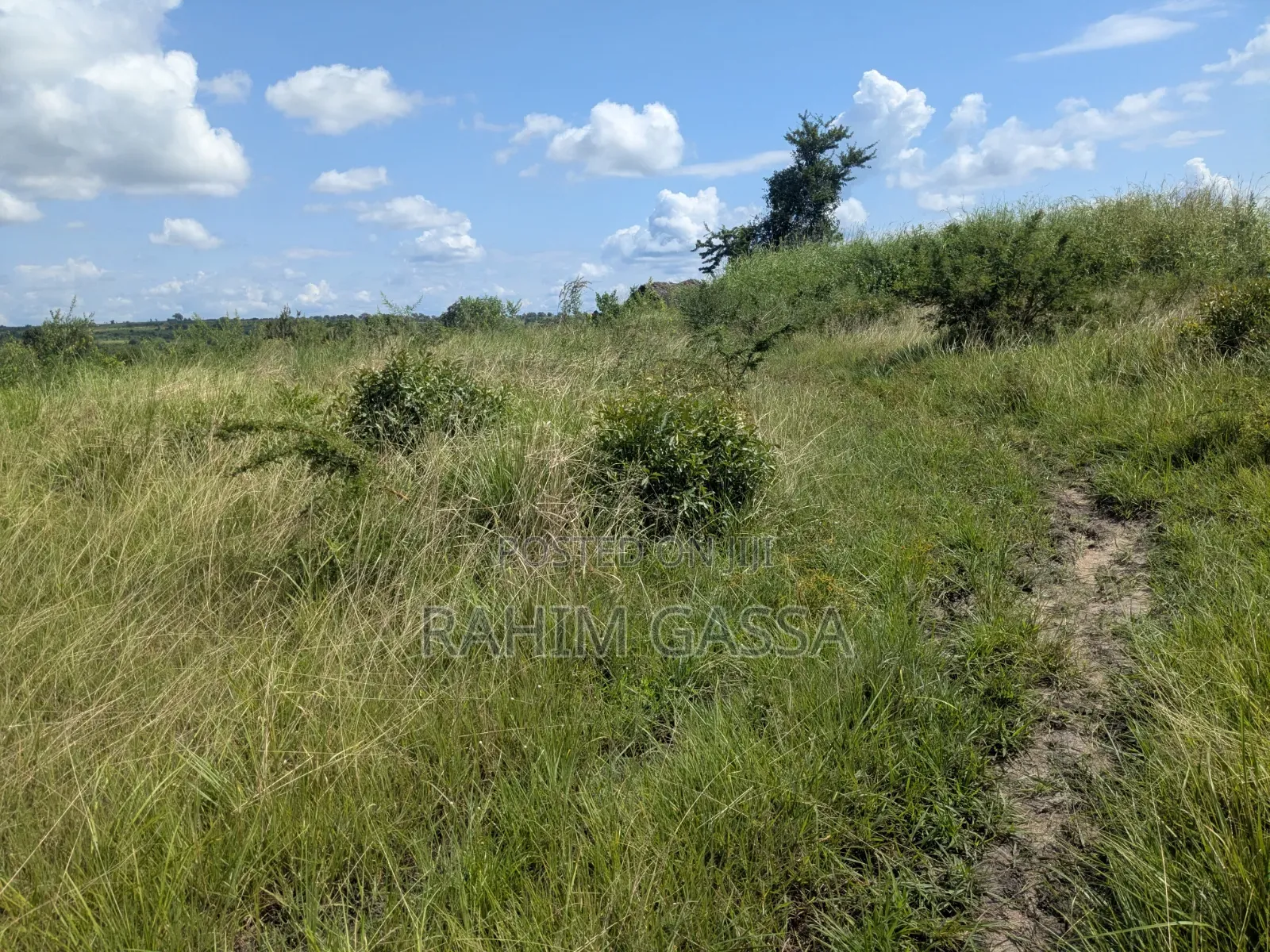 Shamba Linauzwa Bagamoyo