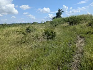Shamba Linauzwa Bagamoyo