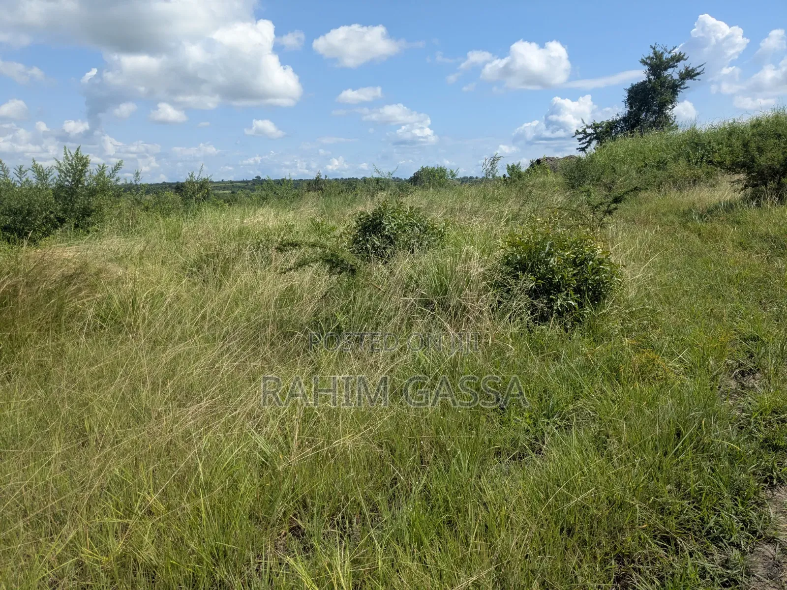 Shamba Linauzwa Bagamoyo