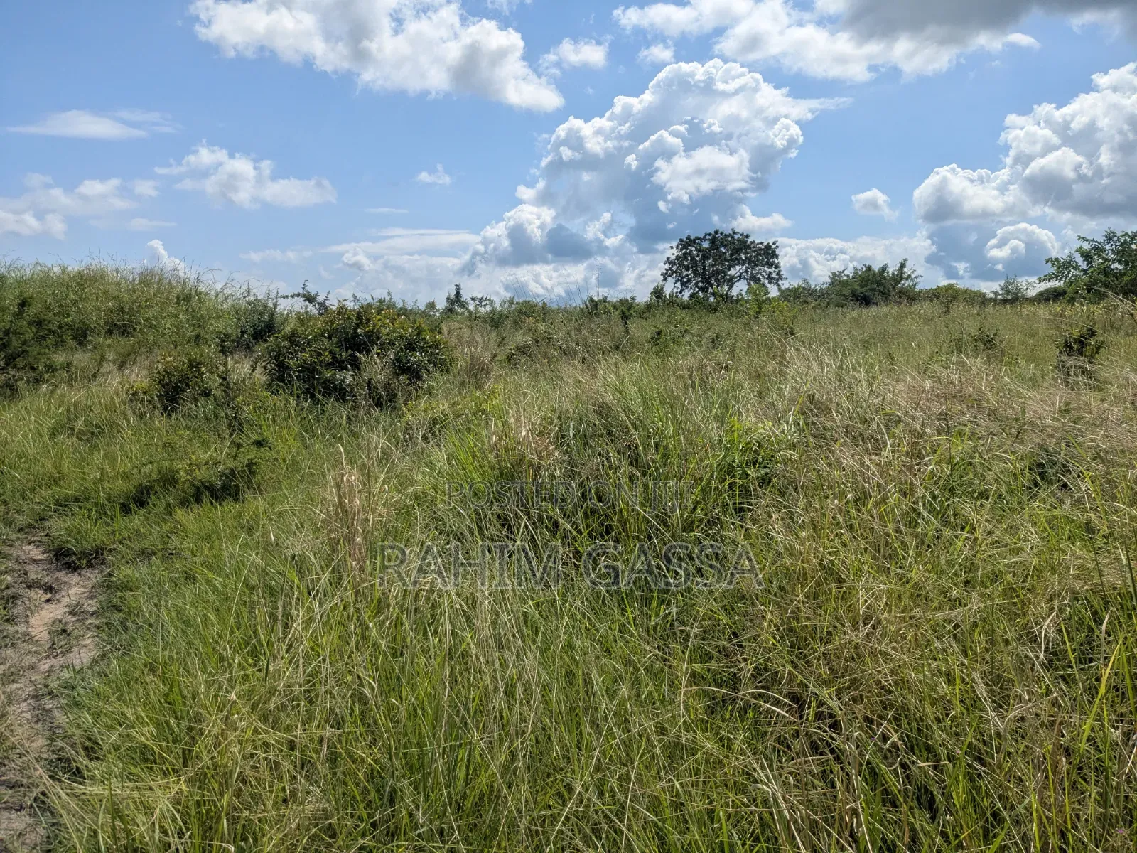 Shamba Linauzwa Bagamoyo