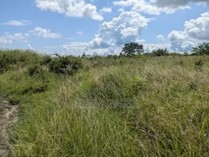 Shamba Linauzwa Bagamoyo