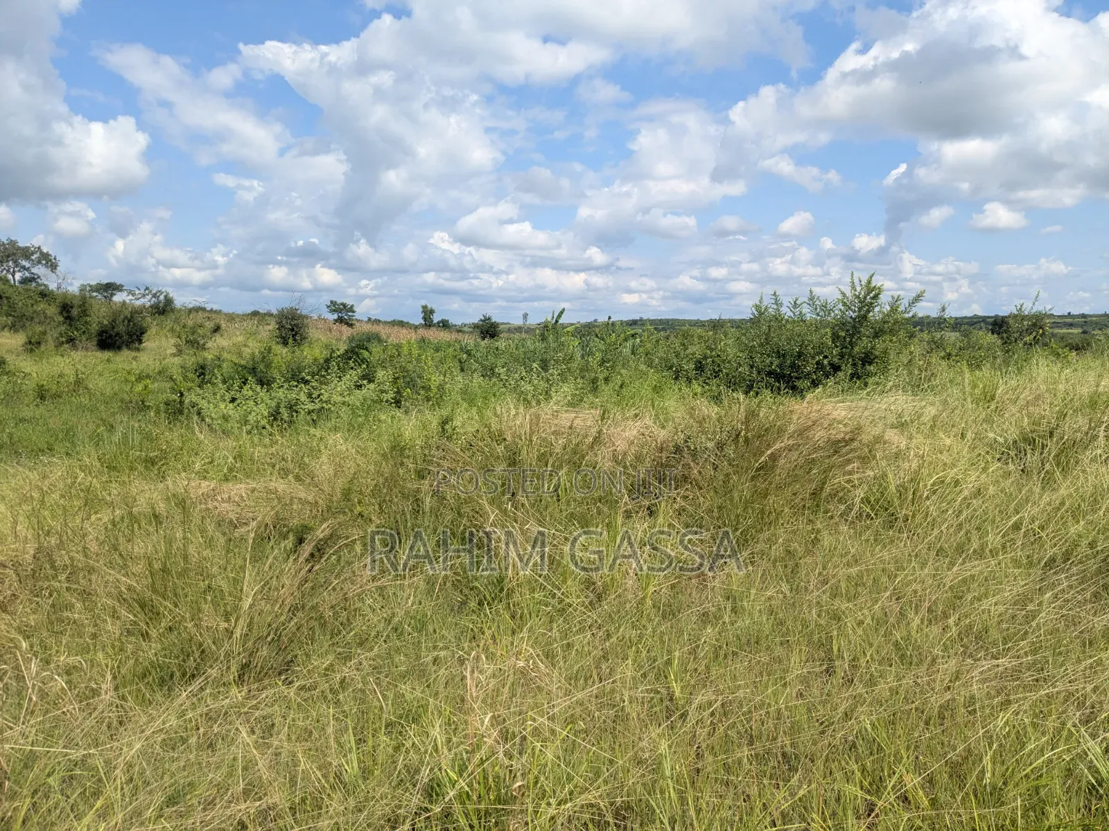 Shamba Linauzwa Bagamoyo