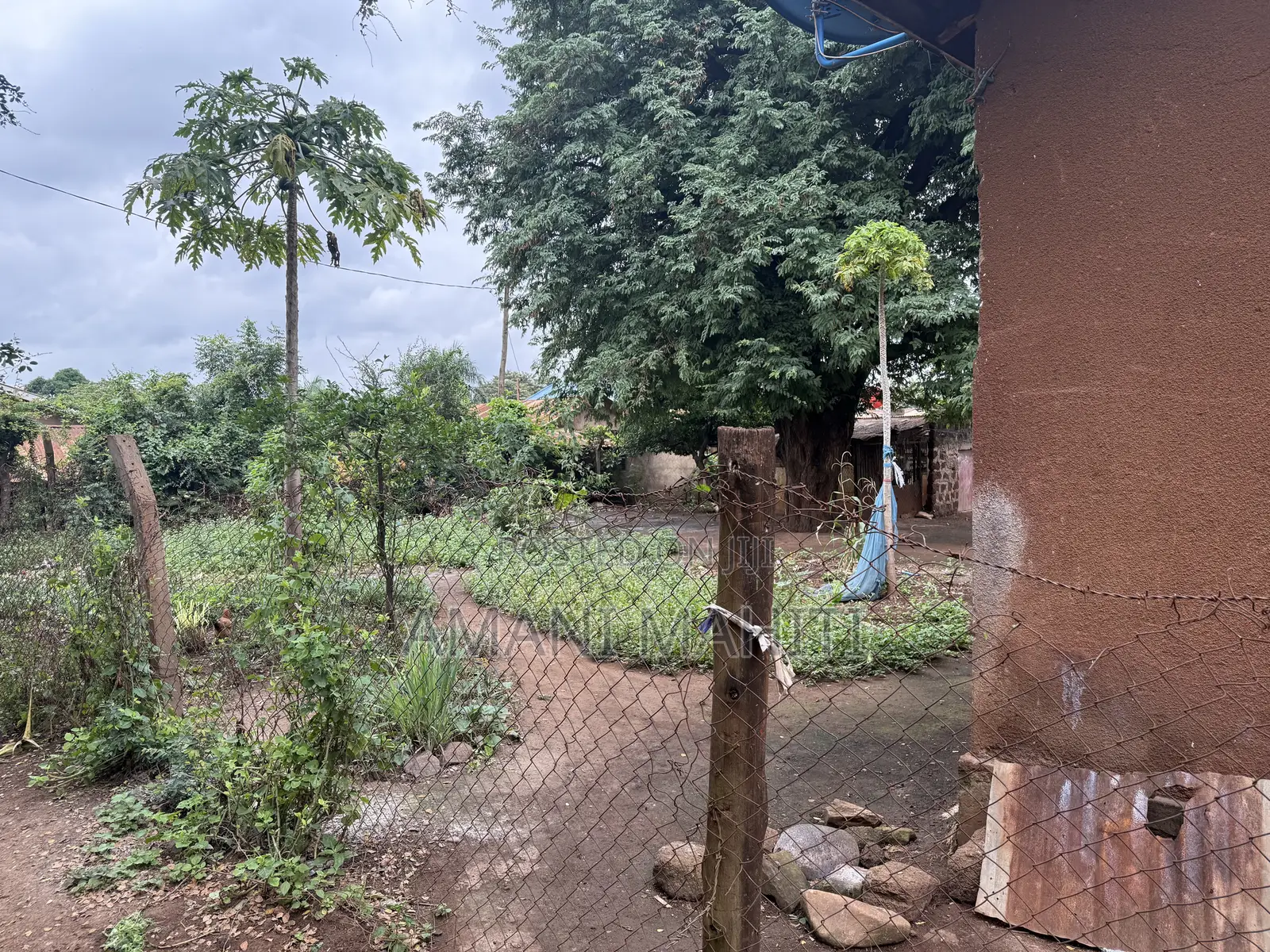 Kiwanja Na Nyumba Jinakodishwa