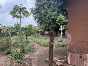 Kiwanja Na Nyumba Jinakodishwa