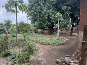 Kiwanja Na Nyumba Jinakodishwa