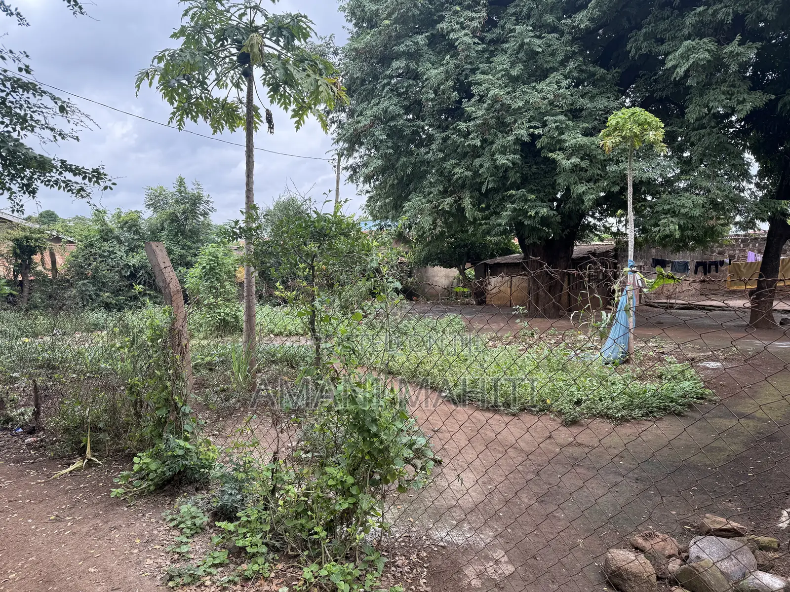 Kiwanja Na Nyumba Jinakodishwa