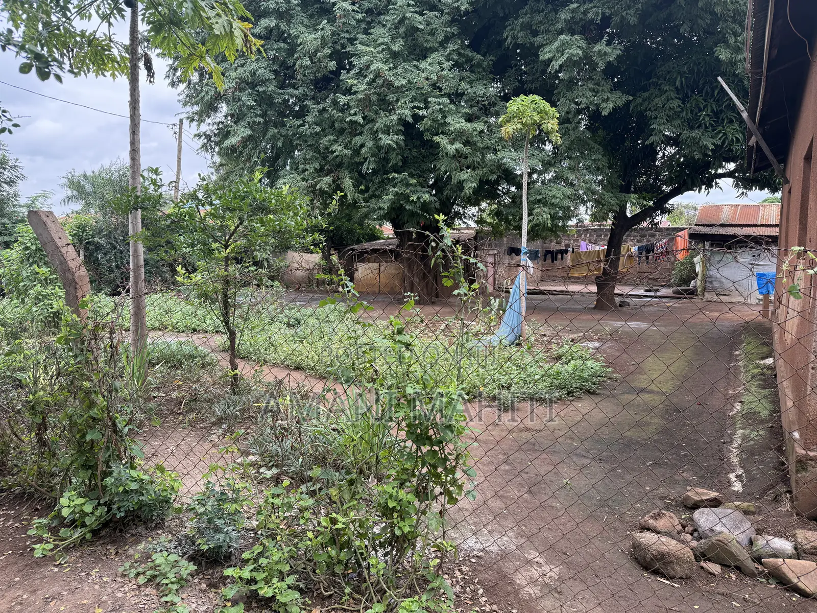 Kiwanja Na Nyumba Jinakodishwa