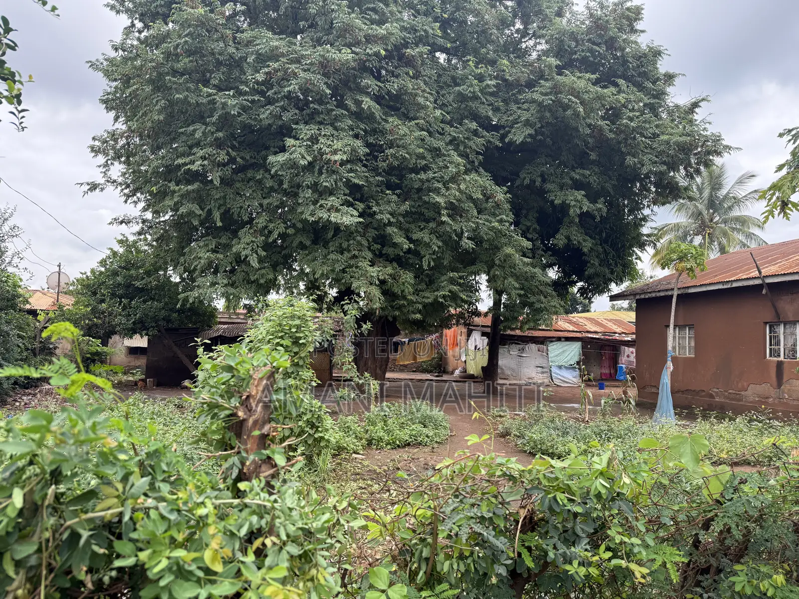 Kiwanja Na Nyumba Jinakodishwa