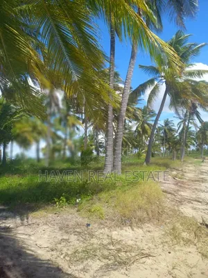 613 Acres Beautifully Island for Sale at Kilwa
