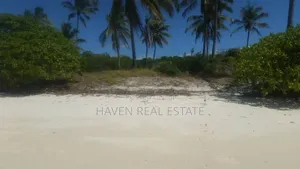 613 Acres Beautifully Island for Sale at Kilwa