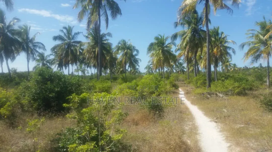 613 Acres Beautifully Island for Sale at Kilwa