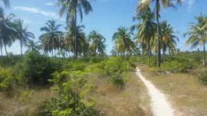 613 Acres Beautifully Island for Sale at Kilwa
