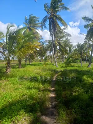 613 Acres Beautifully Island for Sale at Kilwa