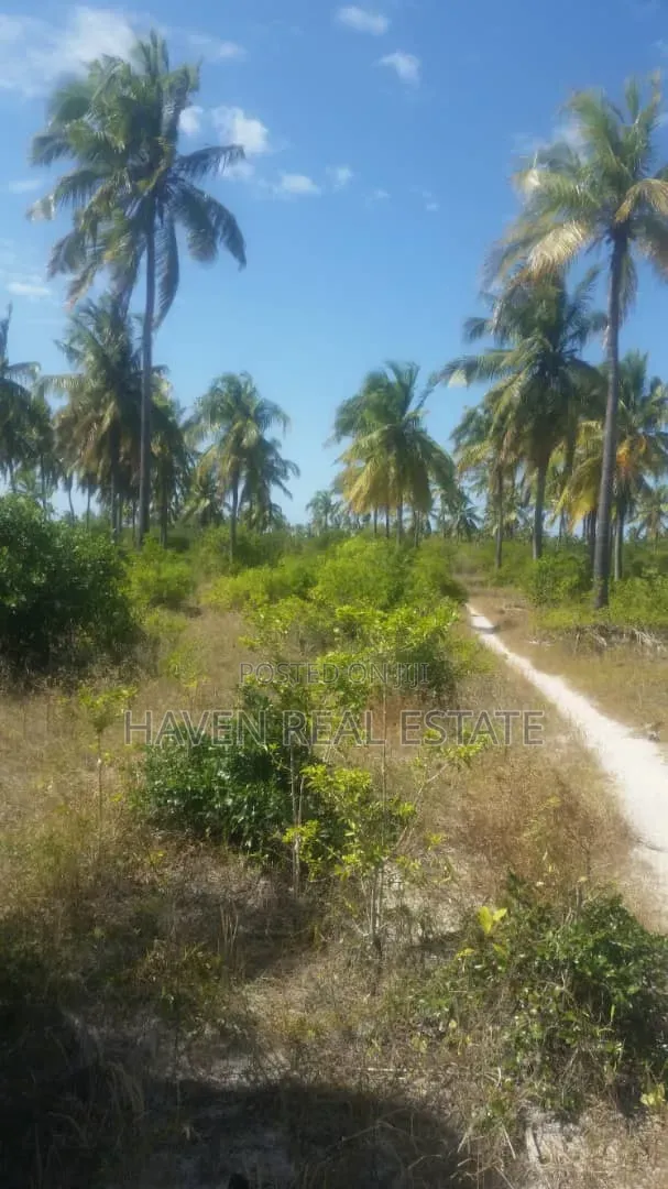 613 Acres Beautifully Island for Sale at Kilwa
