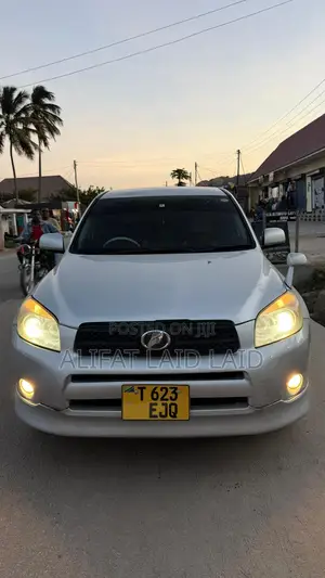 Toyota RAV4 2005 Silver