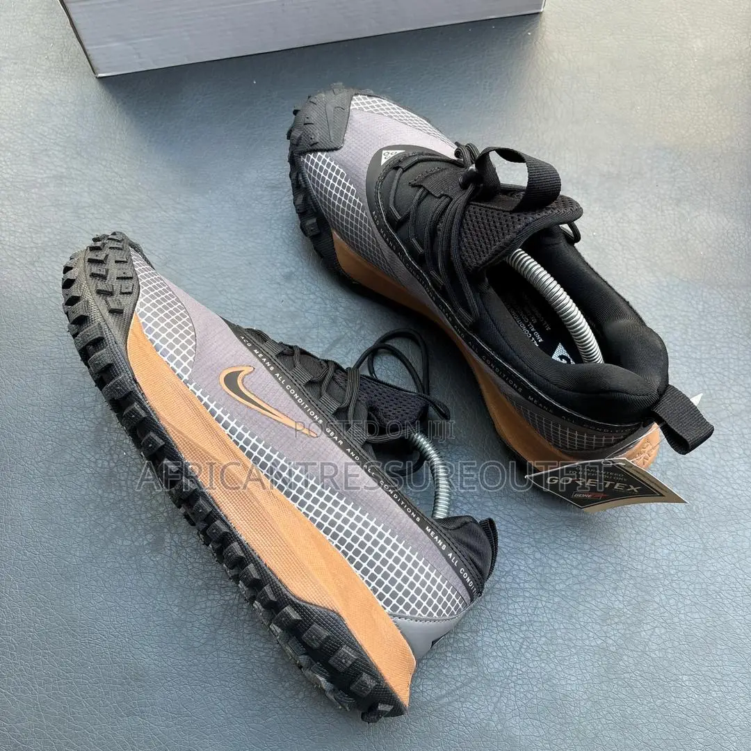 Nike Acg Mountain Fly Low Shoe Gore-Tex Hiking Shoes