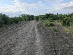 Shamba Linauzwa