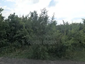 Shamba Linauzwa