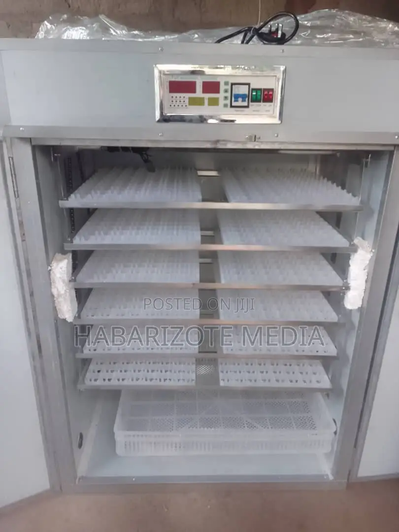 Egg Incubator