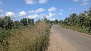 Kiwanja Kyela -Kasumulu Boarder Road