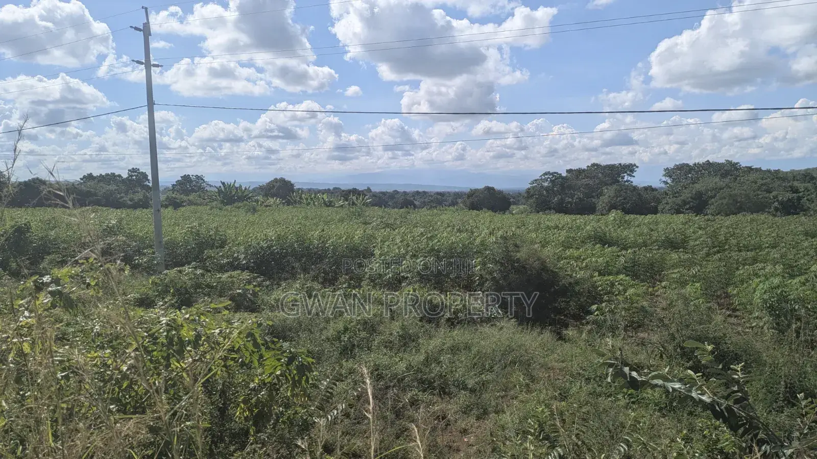 Kiwanja Kyela -Kasumulu Boarder Road