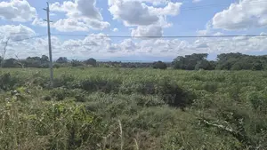 Kiwanja Kyela -Kasumulu Boarder Road
