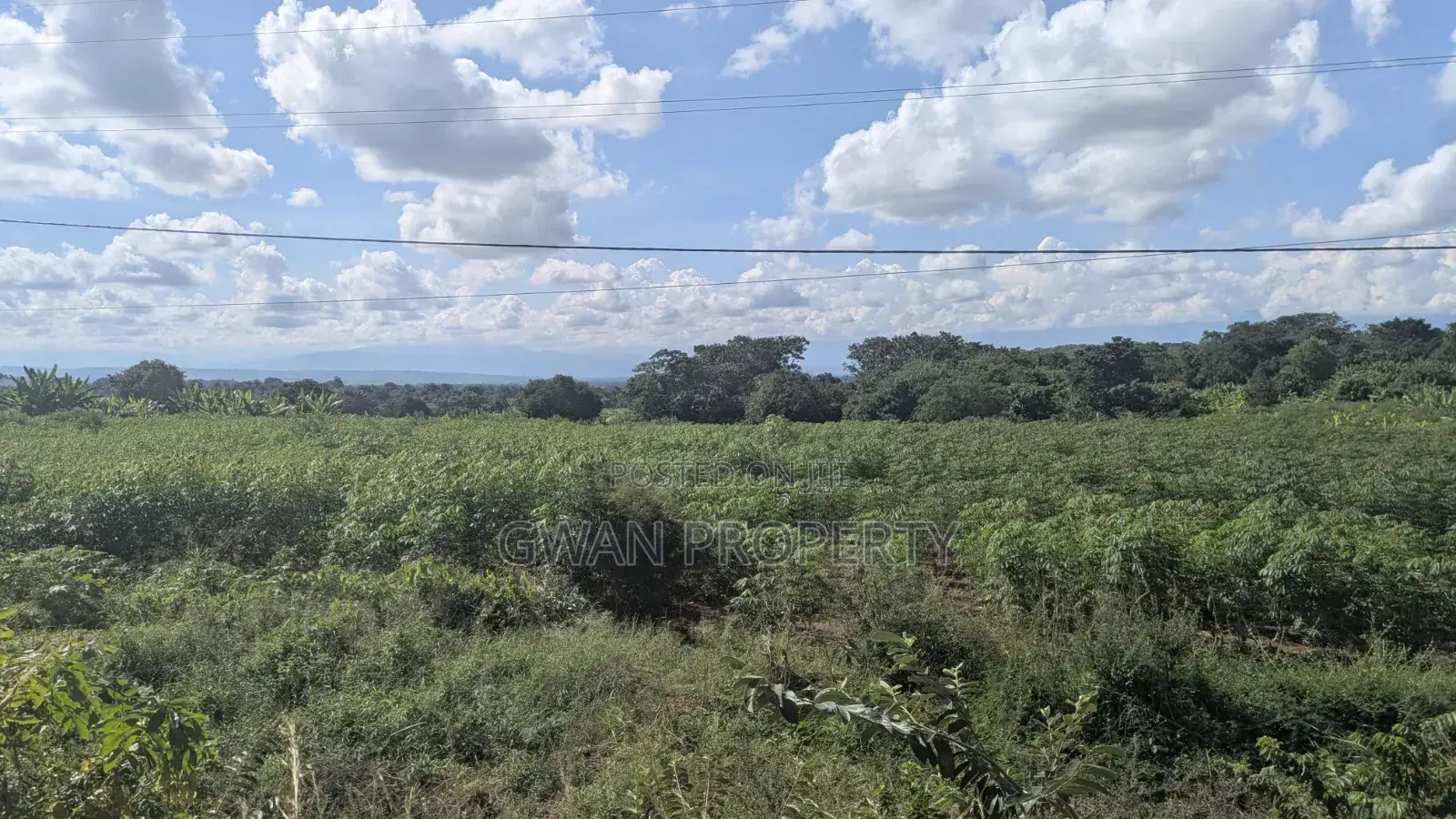 Kiwanja Kyela -Kasumulu Boarder Road
