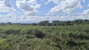 Kiwanja Kyela -Kasumulu Boarder Road