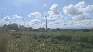Kiwanja Kyela -Kasumulu Boarder Road