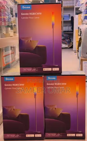 Govee Lamp RGB
