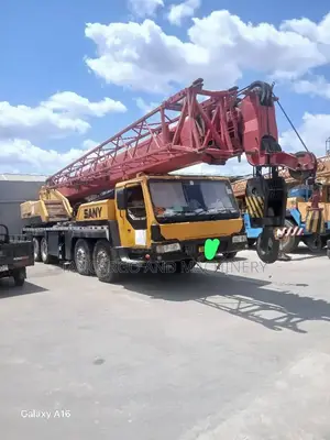 Telescopic Sany Crane